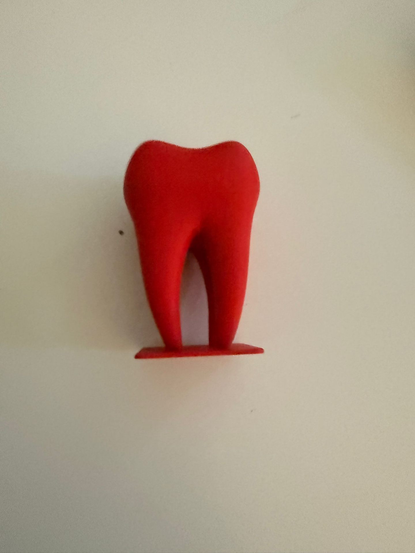 Giant Molar Tooth